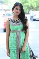 Nikitha Narayan at Mellaga Tattindi Manasu Talupu Movie Press Meet